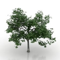 叶子板栗树3d模型