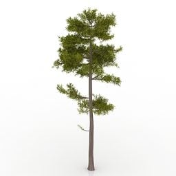 Lowpoly Pine Tree 3d-modell