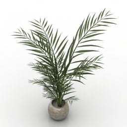 Saksı Palmiye Ağacı 3d modeli