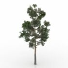 Lowpoly Plant Pine Tree