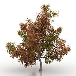 秋叶枫树3d模型