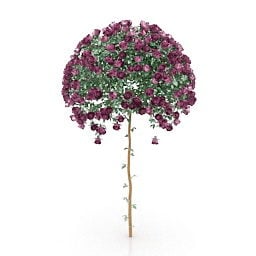 Modelo 3d de planta de sebe rosa
