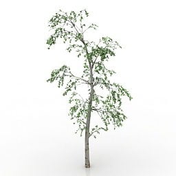 Garden Less Leaves Tree 3d model