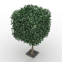 Tree Hedge 3d model