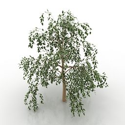 Leaves Tree V1 3d model