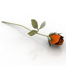 Model 3D gałęzi róży