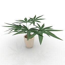 Office Pot Flower 3d model
