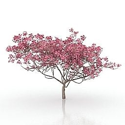 Flower Tree 3d-modell