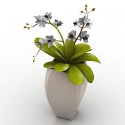 Home Garden Pot Flower 3d model