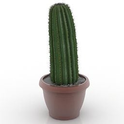 Garden Cactus 3d model