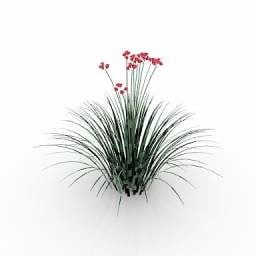 Grass Flower 3d model
