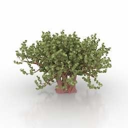 3д модель Дерева в горшке для садового декора