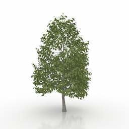 Natur verlässt Baum 3D-Modell