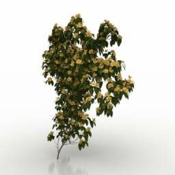 Décor de plante d'arbre modèle 3D