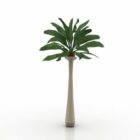 Palm Tree Details