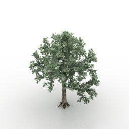 Garden Tree Broad Leaves 3d model