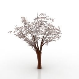 3д модель дерева сакуры