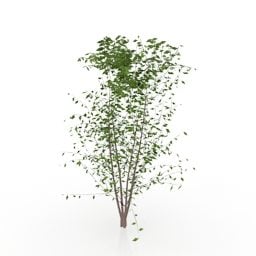 Lowpoly Bushes Tree 3d model