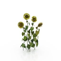 Sunflower Lowpoly 3d model