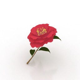 مدل سه بعدی گل قرمز رنگ
