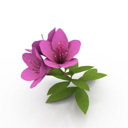 نموذج نبات الزهرة الوردية ثلاثي الأبعاد