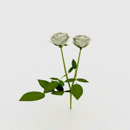 Two Flower Branches 3d model