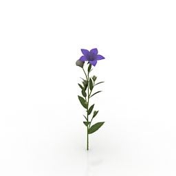 Violet Flower V1 3d-modell