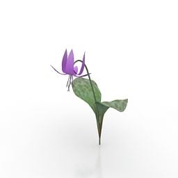 Violet Flower V2 Free 3d Model - .3ds, .Gsm - Open3dModel