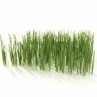 Grass Realistic