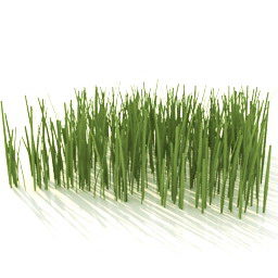 Grass Realistic 3d model