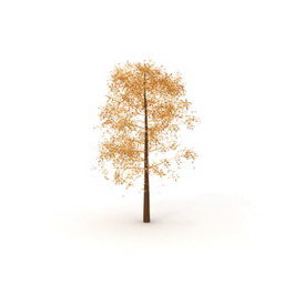 Sonbahar Yaprakları Ağacı V1 3d modeli