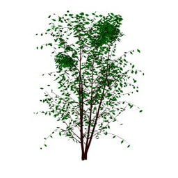 Model 3d Gaya Semak Pohon Alam