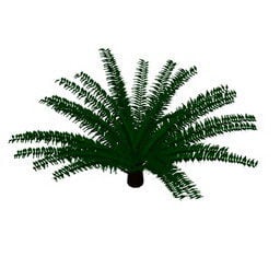 Садова пальма 3d модель