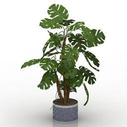 Домашня рослина в горщику V2 3d модель