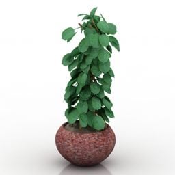 Clay Pot Plant Decor 3d model