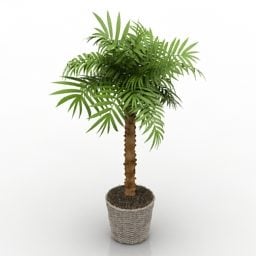 Model 3d Dalaman Pot Palm
