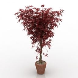 Red Leaves Pot Plant 3d model