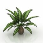 Inomhus Pot Palm