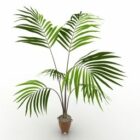 Small Pot Palm Tree