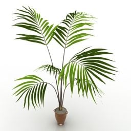 小盆栽棕榈树3d模型