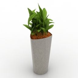 High Pot Indoor Plant 3d model