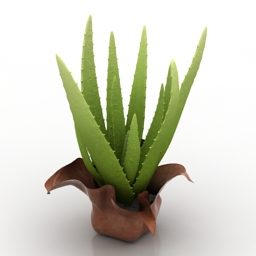 Clay Pot Indoor Plant 3d model