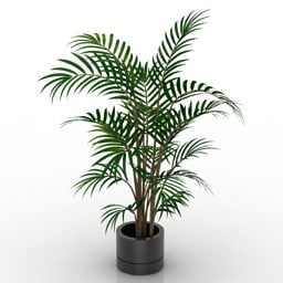 小叶盆棕榈树3d模型