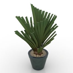 Plastic Pot Plant 3d model