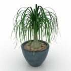Indoor Topfpflanze