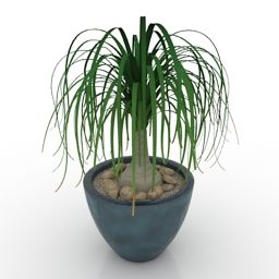 3D-Modell einer Topfpflanze für den Innenbereich