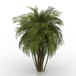 Garden Realistic Palm Tree 3d model