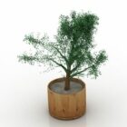 Árvore de planta em vaso de madeira