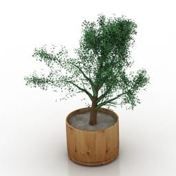 Wooden Pot Plant Tree 3d model