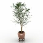 Restaurant Pot Plant Tree
